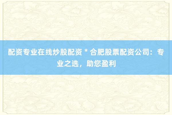 配资专业在线炒股配资 * 合肥股票配资公司：专业之选，助您盈利