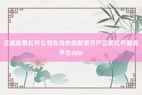 正规股票杠杆公司在线炒股配资开户正规杠杆配资平台app