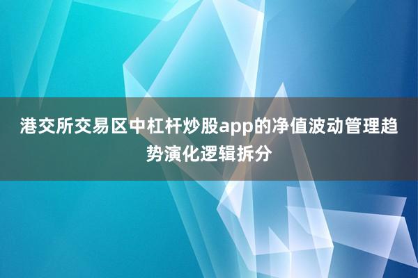 港交所交易区中杠杆炒股app的净值波动管理趋势演化逻辑拆分