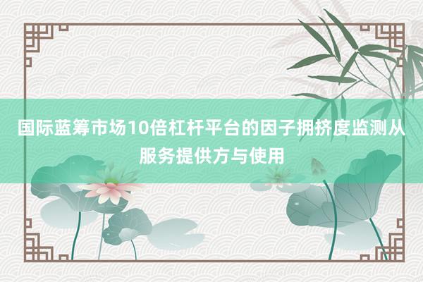 国际蓝筹市场10倍杠杆平台的因子拥挤度监测从服务提供方与使用