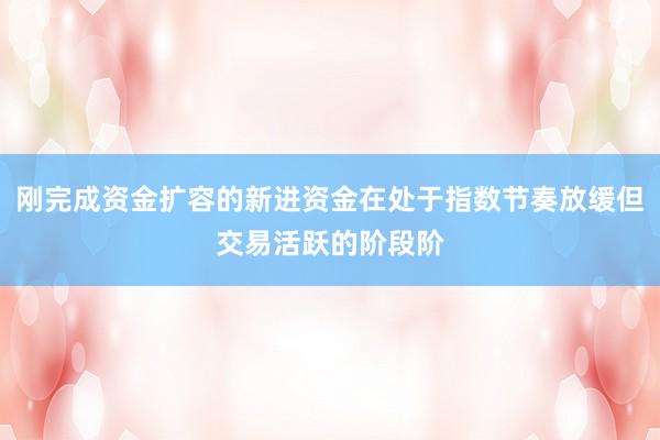 刚完成资金扩容的新进资金在处于指数节奏放缓但交易活跃的阶段阶