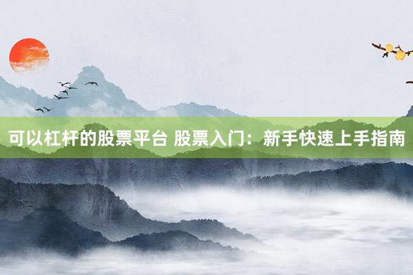 可以杠杆的股票平台 股票入门：新手快速上手指南